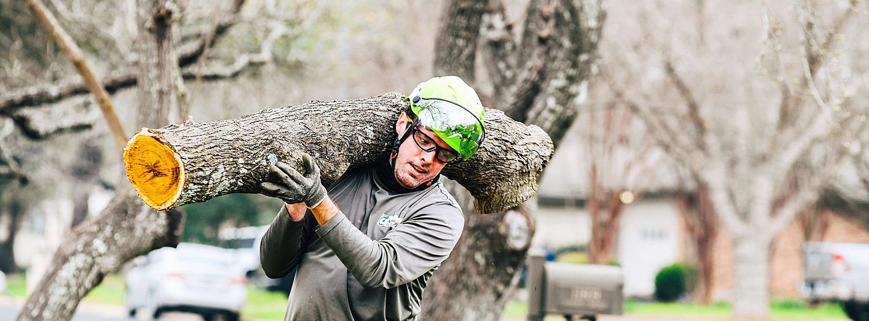 Austin tree care professional demonstrating expertise in tree removal and debris cleanup.