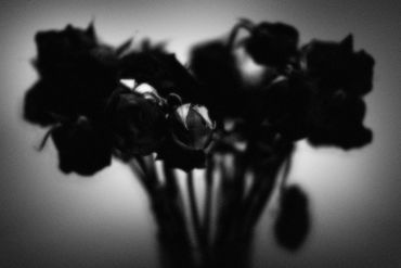 Untitled No. 01 (Roses Mortes), 2023
©Artist Robert Perez™