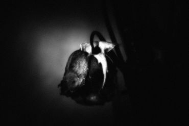 Untitled No. 10 (Roses Mortes), 2023
©Artist Robert Perez™