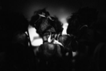 Untitled No. 13 (Roses Mortes), 2023
©Artist Robert Perez™