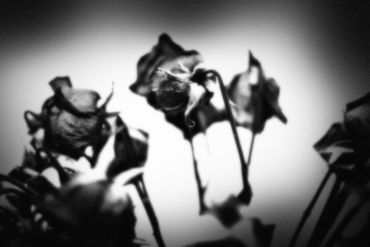 Untitled No. 03 (Roses Mortes), 2023
©Artist Robert Perez™