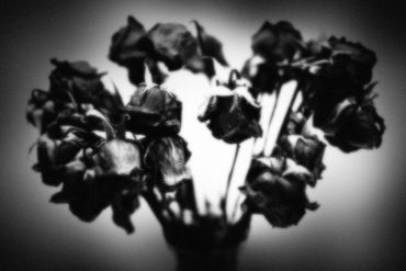 Untitled No. 07 (Roses Mortes), 2023
©Artist Robert Perez™