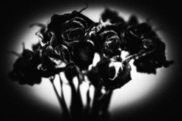 Untitled No. 09 (Roses Mortes), 2023
©Artist Robert Perez™