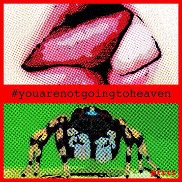 KBWD007, 2024
©Artist Robert Perez™