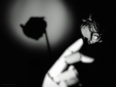 Et Dieu a fait l'amour, 2022
©Artist Robert Perez™