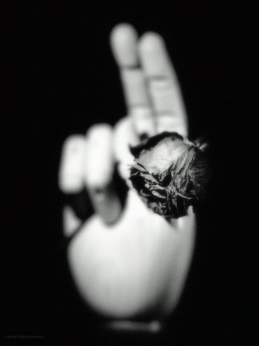 Dieu sanctionne l'amour, 2022
©Artist Robert Perez™