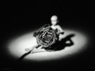 EVE découvre l'amour, 2022
©Artist Robert Perez™