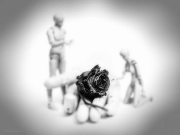 ADAMEVE™ Débat Amour, 2022
©Artist Robert Perez™