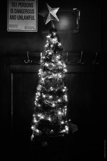 "Christmas Tree in a Bar (or Self-Portrait)", 2020
Copyright © 2020 Artist Robert Perez™