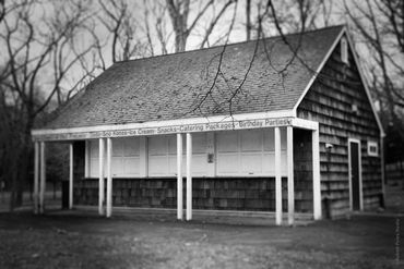 "Untitled (Growing Up Wild) No. 1", 2020
Copyright © 2020 Artist Robert Perez™