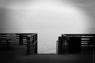 "Untitled (Growing Up Wild) No. 11", 2020
Copyright © 2020 Artist Robert Perez™