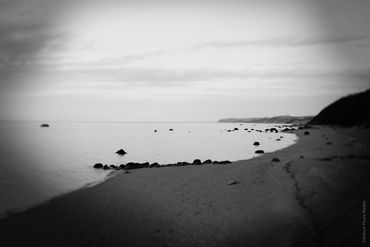 "Untitled (Growing Up Wild) No. 12", 2020
Copyright © 2020 Artist Robert Perez™