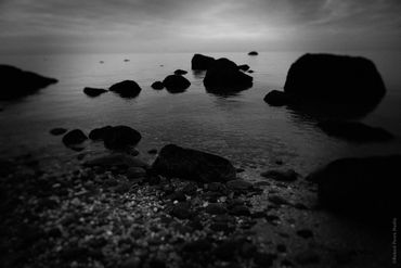 "Untitled (Growing Up Wild) No. 17", 2020
Copyright © 2020 Artist Robert Perez™