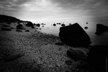 "Untitled (Growing Up Wild) No. 18", 2020
Copyright © 2020 Artist Robert Perez™