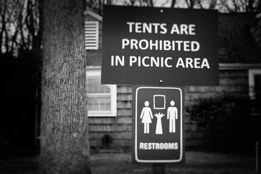 "Untitled (Growing Up Wild) No. 4", 2020
Copyright © 2020 Artist Robert Perez™