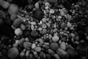 "Untitled (Growing Up Wild) No. 14", 2020
Copyright © 2020 Artist Robert Perez™