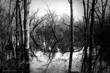 "Untitled (souls) No. 5", 2020
Copyright © 2020 Artist Robert Perez™