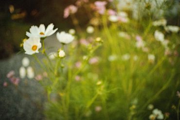 La Vie En Couleur No. 3, 2024
©Artist Robert Perez™