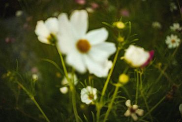 La Vie En Couleur No. 2, 2024
©Artist Robert Perez™