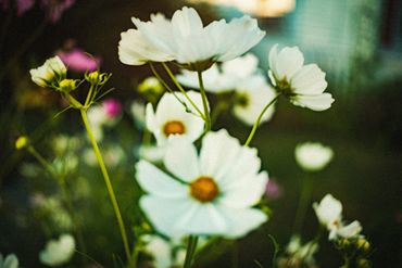 La Vie En Couleur No. 1, 2024
©Artist Robert Perez™