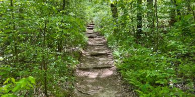 Narrow Walking Pathway On A Nature Hike Suggesting A Calming Free Consultation