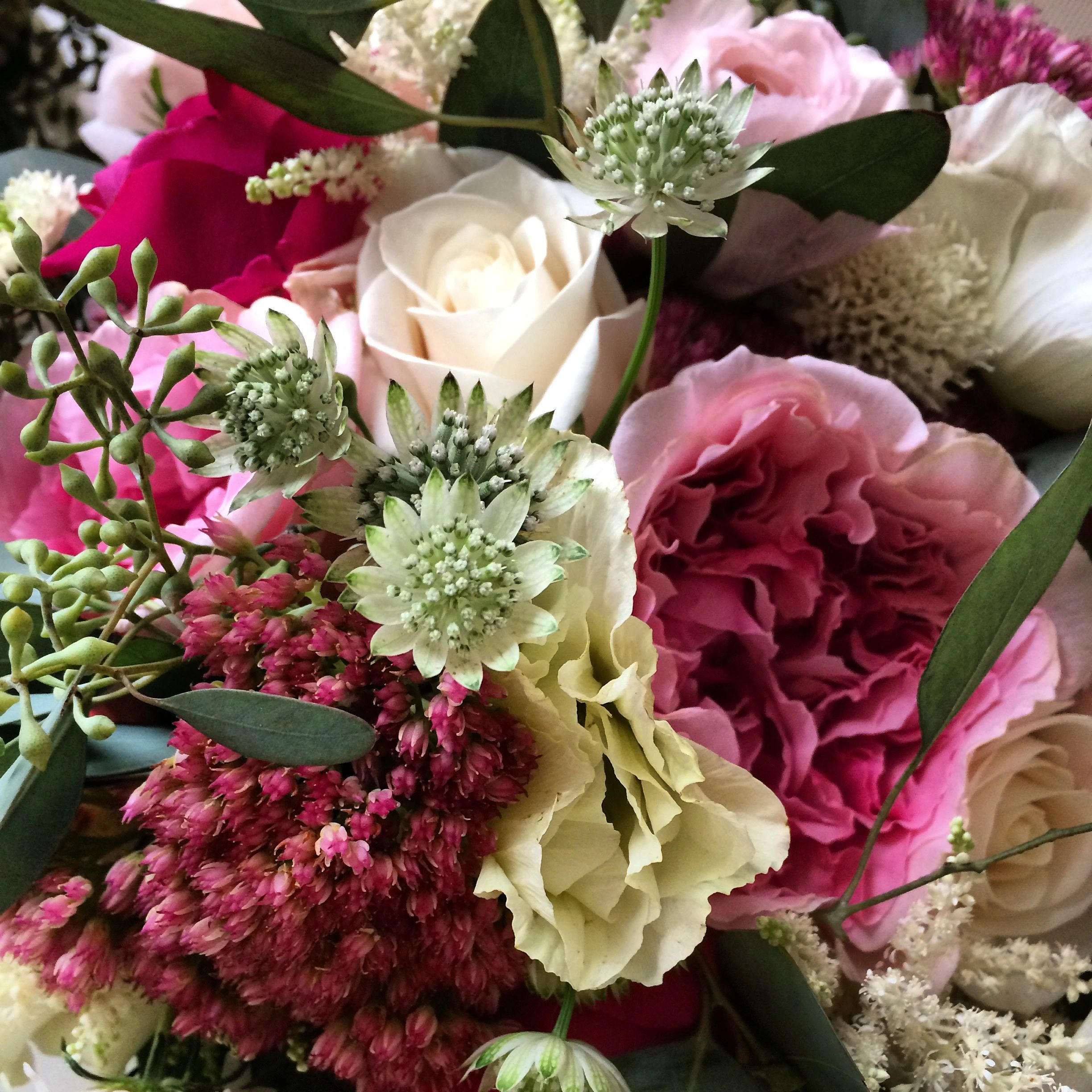 Floral Occasions St. Louis