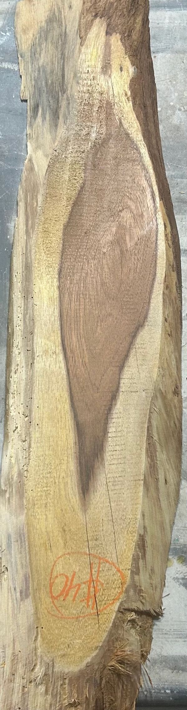 A piece of rough, multi-toned wood with natural textures and markings.