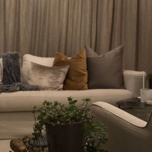 Cozy living room with neutral sofa, assorted cushions, and a potted plant which adds balance to the room.