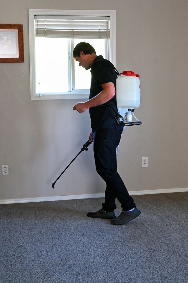 Man spraying pesticide or disinfectant inside a room with a backpack sprayer.