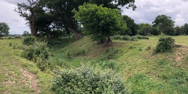 Earthworks at Ringsbury Camp