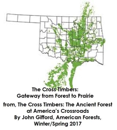 Click Map to read the article by John Gifford, as featured in American Forests Winter/Spring 2017