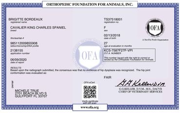 OFA Hip Certification for Brigitte is Fair.