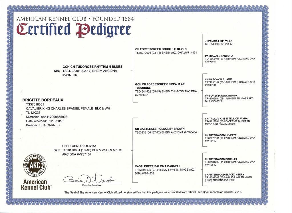 American Kennel Club Pedigree for Legendcrest Brigitte Bordeaux DOB 2/13/2018