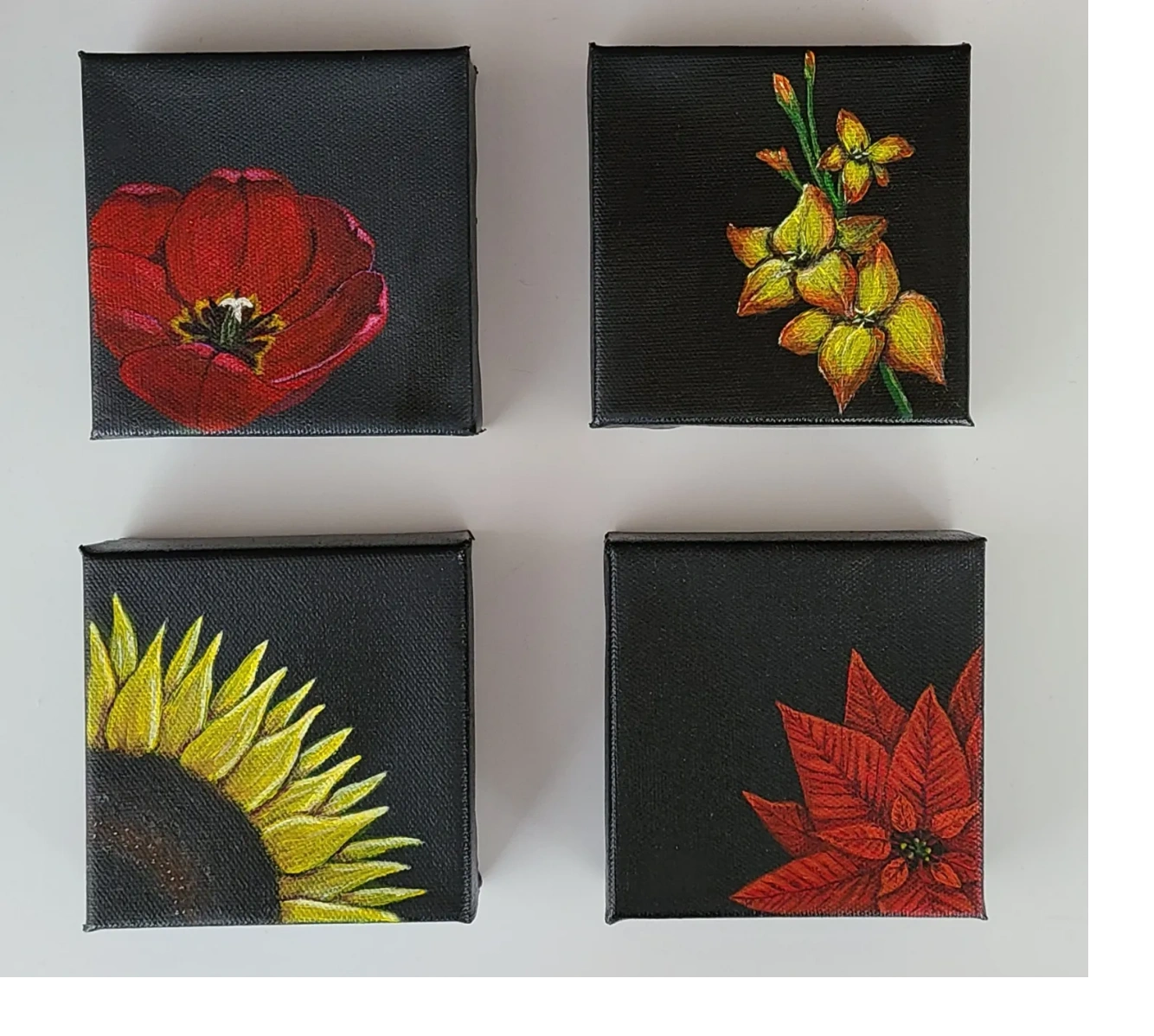 Seasonal Flowers