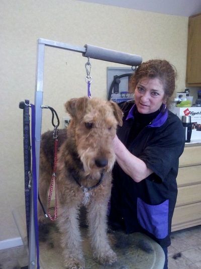 Grooming for all breeds and sizes