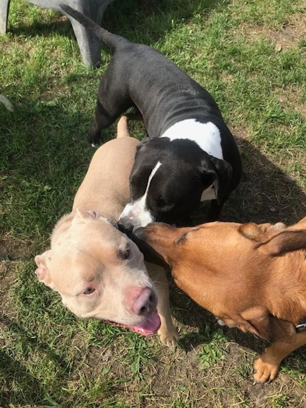 Harmonious encounters