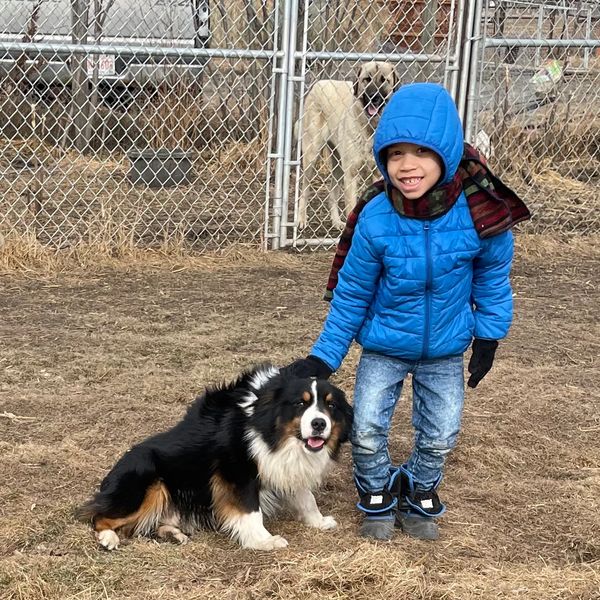 dog training for the whole family