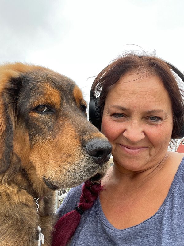 Building trust between trainer and dog