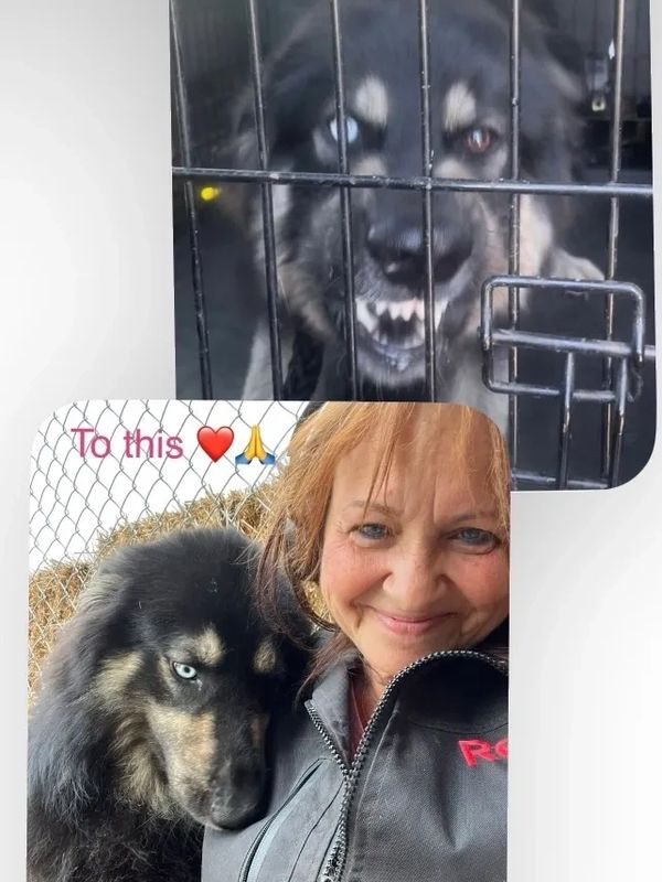 Hiro's Before & After