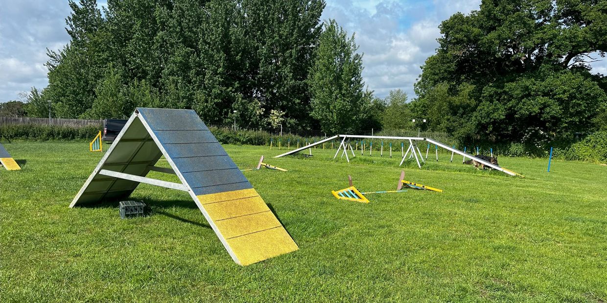 Bottom Field at DTCE - Dog Training Centre of Excellence in Brentwood Essex