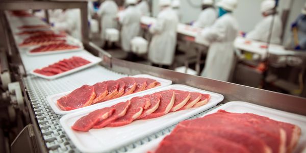 Snapshot of a modern meat processing plant with stainless steel machinery and diligent workers.