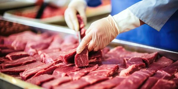 Buffalo Meat Quality Cut Processing at Frosty Foods