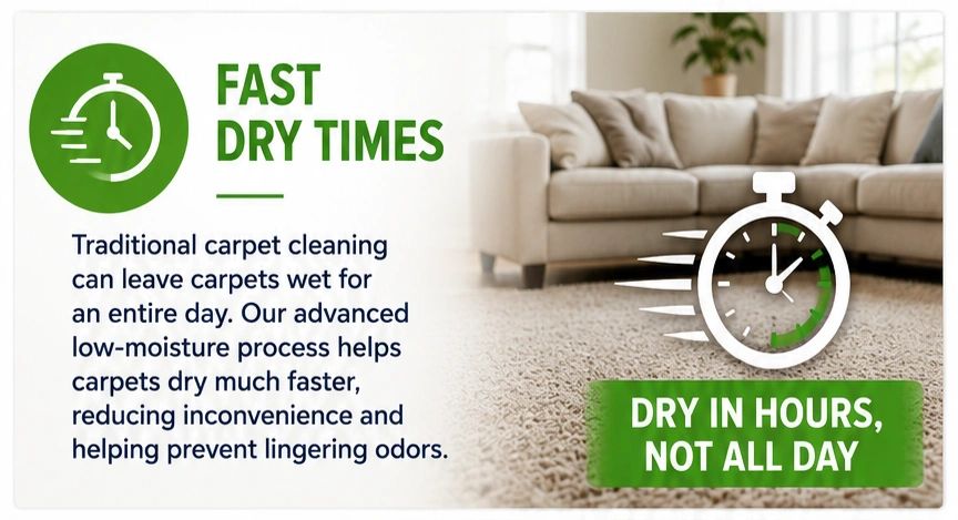 A couch on carpet that dries in a few hours not days