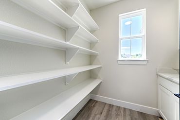 Empty pantry with white shelves and a window letting in sunlight.