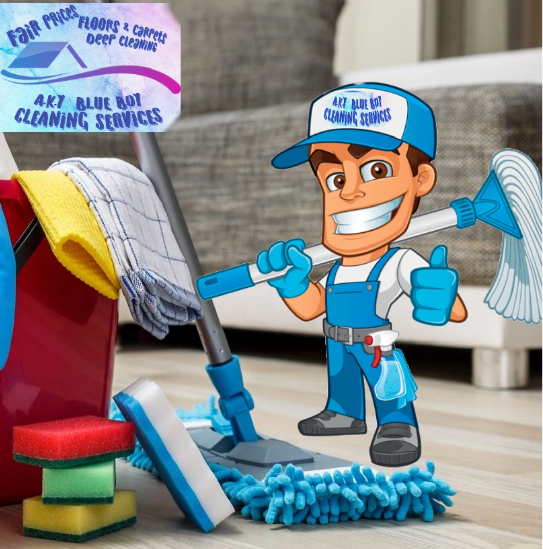 House cleaning services 
Housekeeping 
Household 
Cleaning supplies 
Carpet cleaning 
Washing 