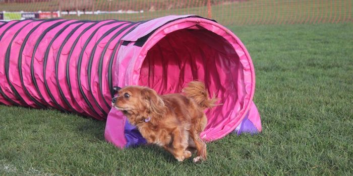image242