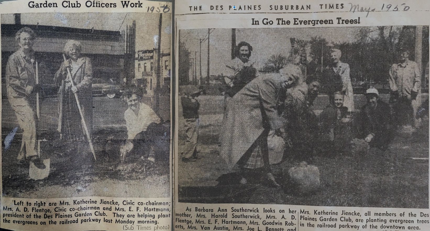 From the Des Plaines Suburban Times  - published May, 1950