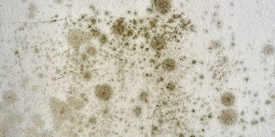 closeup shot of stains on a white surface 