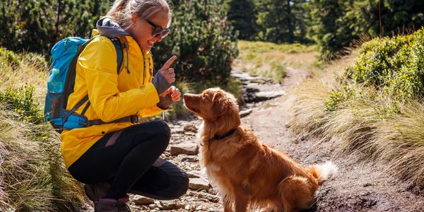 Dog training woman teaches her attentive dog the sit command on a hike using positive reinforcement