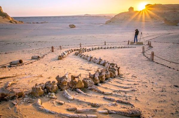 Wadi Elhetan (valley of whales) in Fayoum. Egypt tour travel. Eco-friendly. Safari